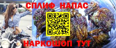 каннабис Бийск