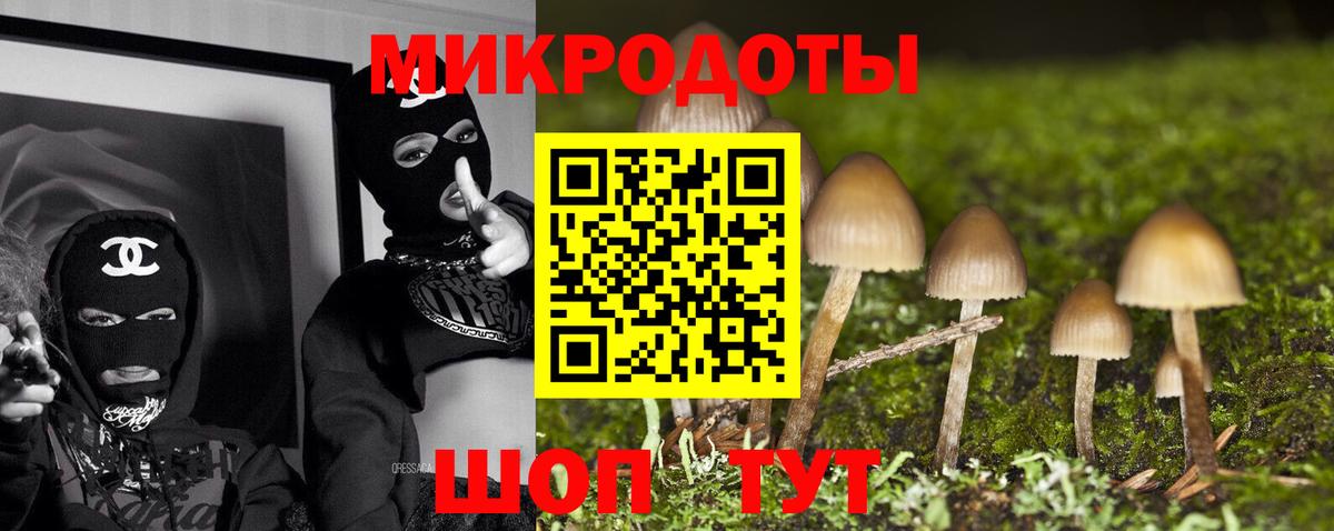 Псилоцибиновые грибы Psilocybine cubensis Дедовск