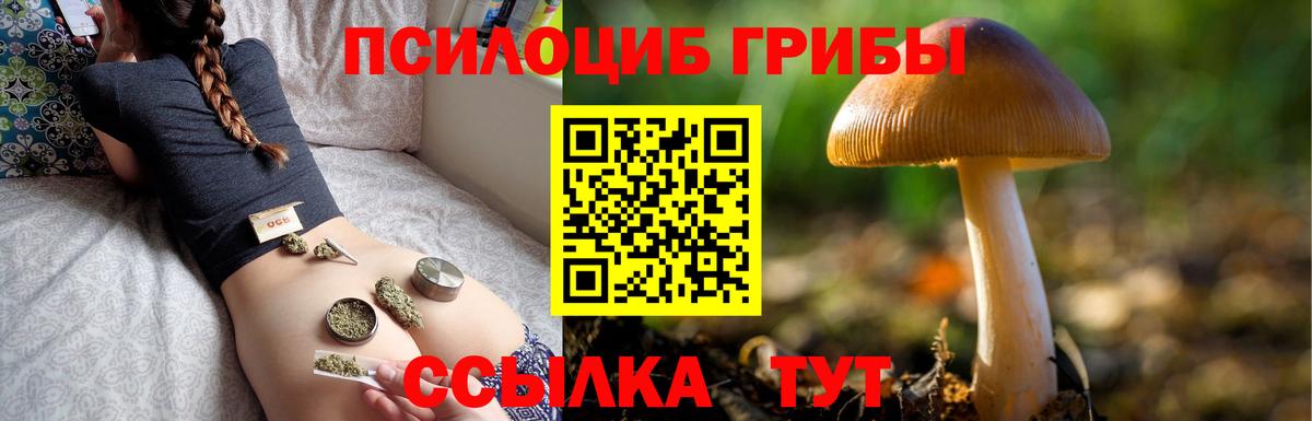 Дедовск  Галлюциногенные грибы GOLDEN TEACHER  Вход с VPN 