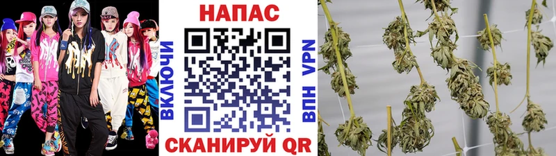 Шишки марихуана семена  купить закладку  Дедовск 
